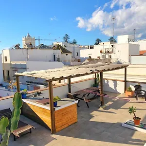The Roof Apartment